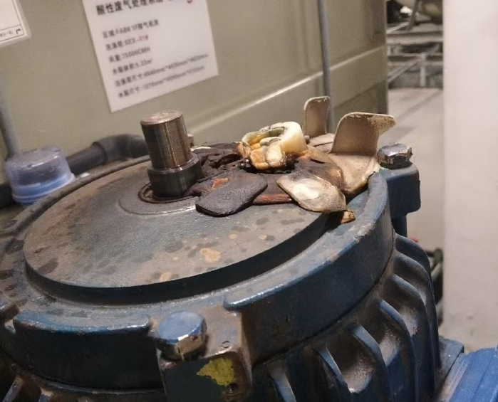 75千瓦酸排風(fēng)機(jī)震動(dòng)異常修理
